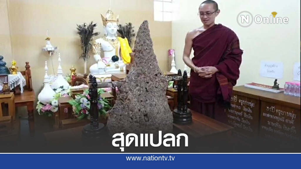 ชาวบ้านแห่ชม"รังต่อหัวเสือยักษ์"รูปทรงคล้ายเจดีย์