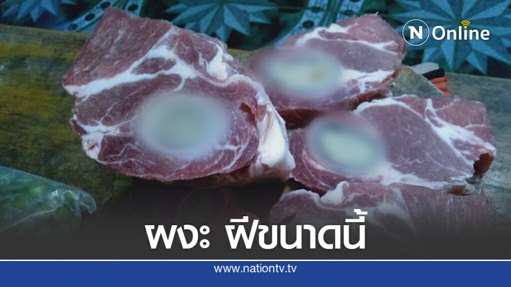 สาวโพสต์ซื้อหมู ผ่าออกมาเจอฝีหนองก้อนใหญ่ ถามผู้รู้เกิดจากอะไร สาวโพสต์ซื้อหมู ผ่าออกมาเจอฝีหนองก้อนใหญ่ ถามผู้รู้เกิดจากอะไร