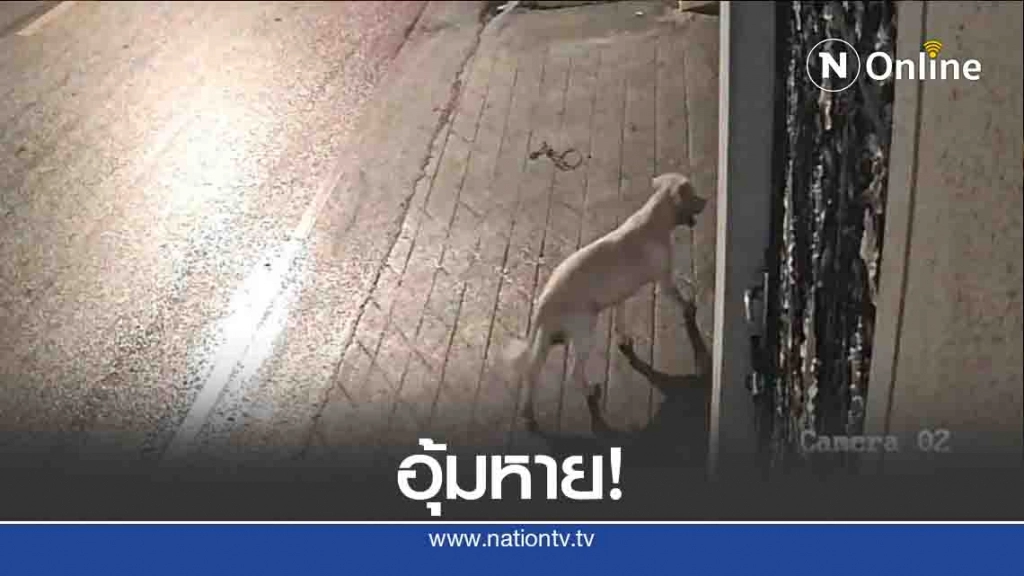 ตามหา"เจ้าตุ๊"-ถูกตุ๊กตุ๊ก อุ้มหายกลางดึก