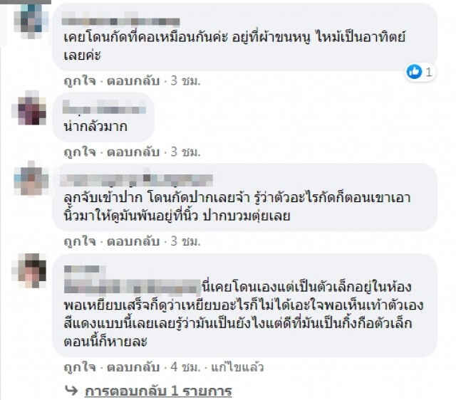 แม่แชร์อุทาหรณ์ หลังเห็นนิ้วเท้าลูกบวมแดง หาสาเหตุพบมีสัตว์แอบอยู่ในรองเท้า