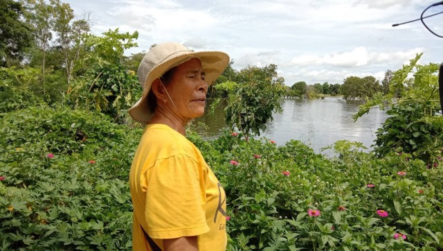 พิษโนอึน ทำน้ำท่วมนาข้าวเกษตรกรโนนสูง