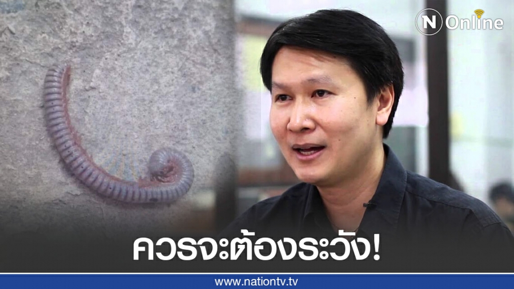 "อ.เจษ" ชี้กิ้งกือไม่ได้มีพิษร้ายแรง แค่ควรจะต้องระวัง!