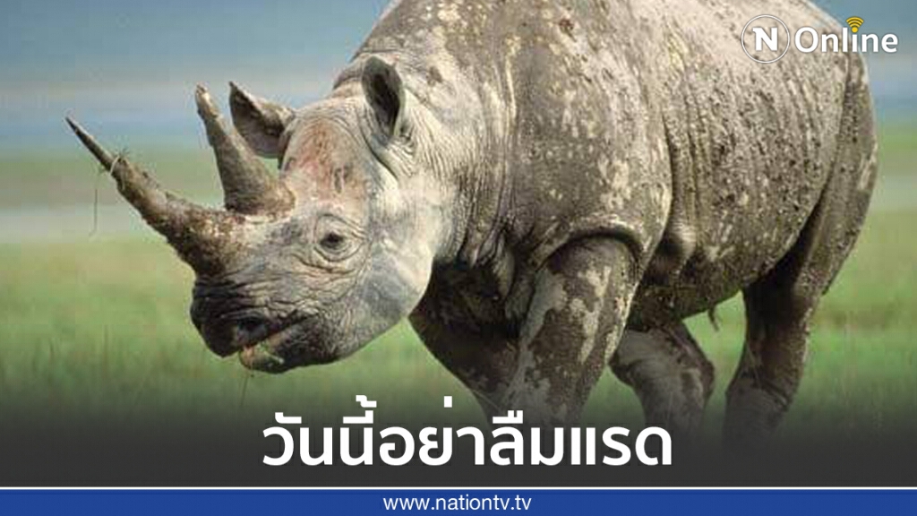 22 กันยายน วันแรดโลก 22 กันยายน วันแรดโลก