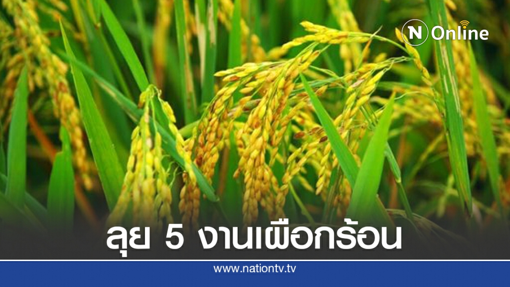ไร้คู่แข่ง ‘วิชัย ศรีนวกุล ‘คว้านายก ส.โรงสีข้าวอีสานคนแรก