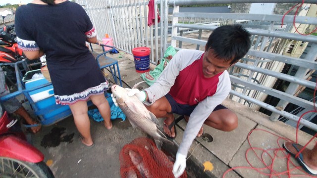 ชาวบ้านแห่จับปลาสันเขื่อนปากมูลหลังพายุโนอึล