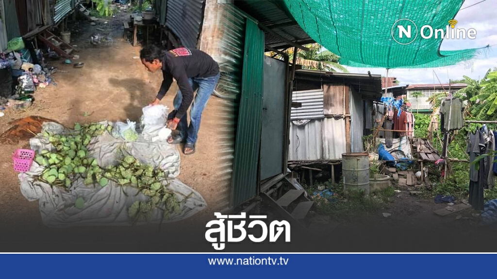 รายได้ไม่มั่นคง สู้ชีวิตเก็บฝักบัวขาย วอนภาครัฐหาทางช่วยเหลือ รายได้ไม่มั่นคง สู้ชีวิตเก็บฝักบัวขาย วอนภาครัฐหาทางช่วยเหลือ