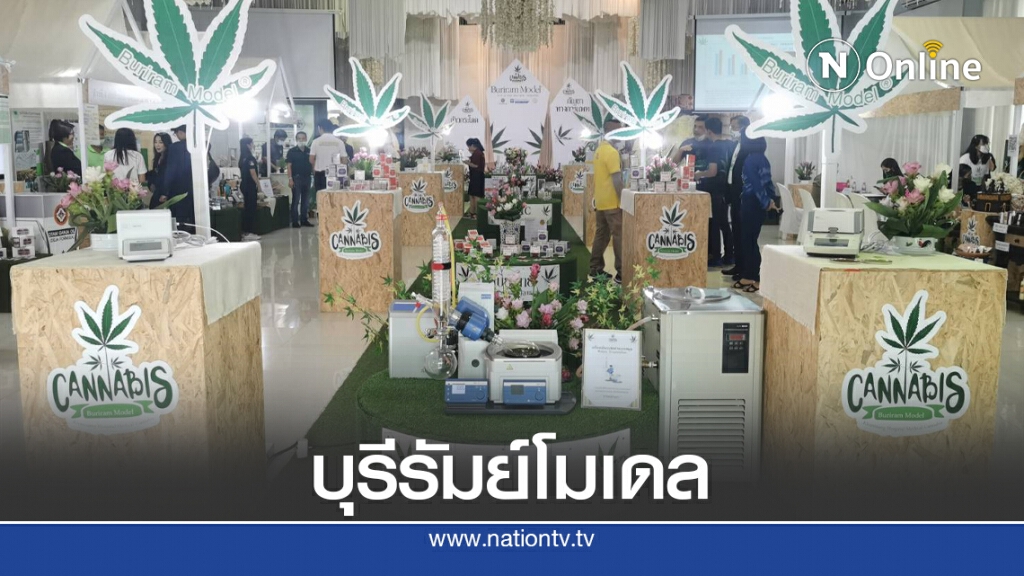 เดินหน้าบุรีรัมย์โมเดล ยกระดับกัญชาเพื่อการแพทย์ เดินหน้าบุรีรัมย์โมเดล ยกระดับกัญชาเพื่อการแพทย์