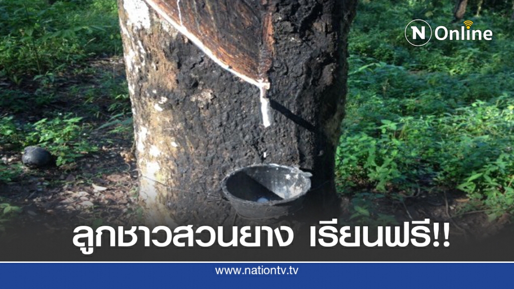 กยท.มอบทุน 4 ล้านบาท ลูกชาวสวนยางเรียนฟรี ป.ตรี