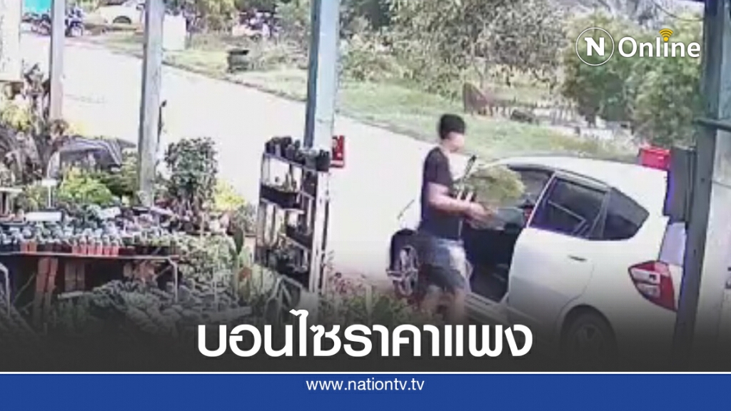 หนุ่มขับแจ๊สขโมยบอนไซราคาแพงในตลาดต้นไม้