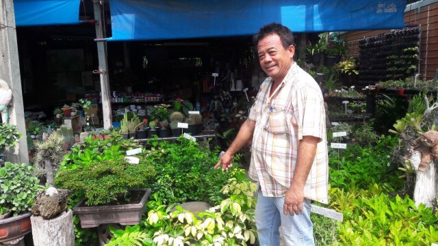 หนุ่มขับแจ๊สขโมยบอนไซราคาแพงในตลาดต้นไม้