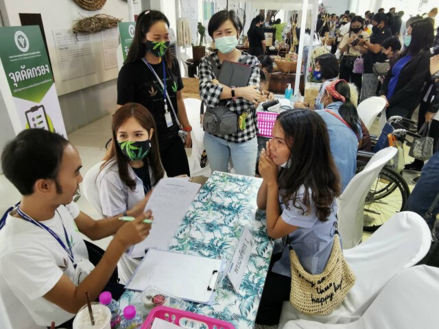 เดินหน้าบุรีรัมย์โมเดล ยกระดับกัญชาเพื่อการแพทย์