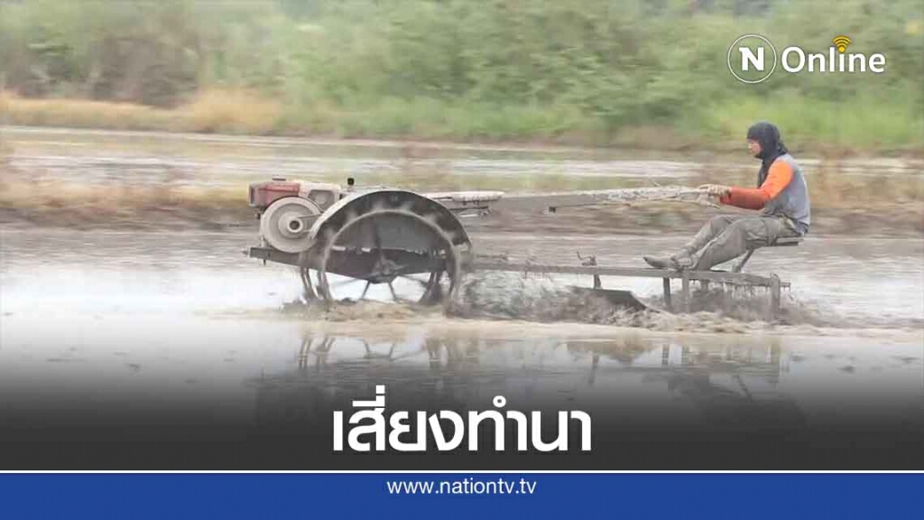 ชาวนาพิจิตร! เสี่ยงทำนาในพื้นที่น้ำท่วมซ้ำซาก ชาวนาพิจิตร! เสี่ยงทำนาในพื้นที่น้ำท่วมซ้ำซาก