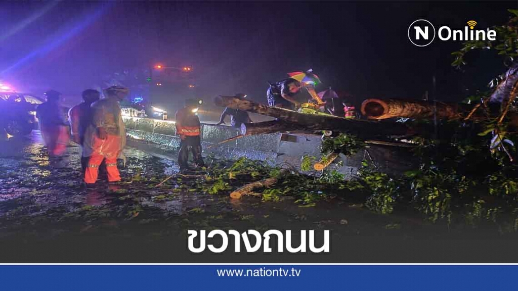 พายุฝนถล่มแม่สอด-ต้นไม้หักโค่นปิดทางเข้าออก
