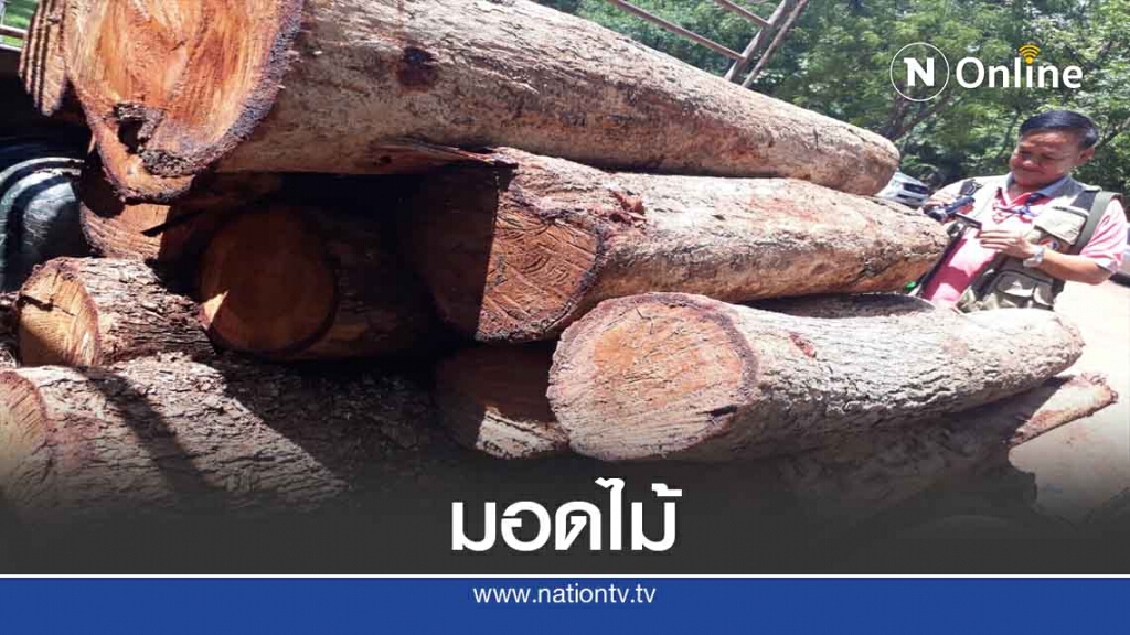 ลอบตัดไม้ในเขตห้ามล่าสัตวป่าเขาน้อย-เขาประดู่