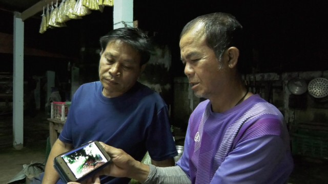 ไวรัสระบาด "แม่ทะ"-ทำลายหมูพันตัว