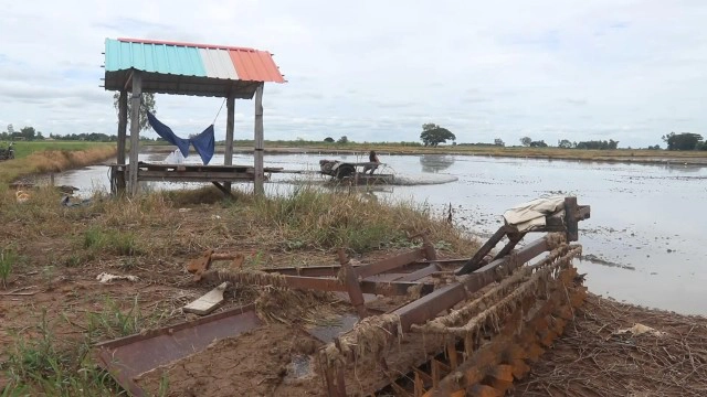 ชาวนาพิจิตร! เสี่ยงทำนาในพื้นที่น้ำท่วมซ้ำซาก