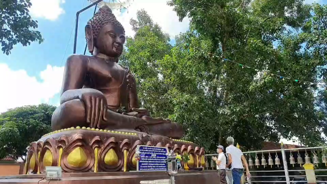 ฮือฮาต้นโพธิ์ออกปลายนิ้วพระพุทธรูปสิงห์หนึ่ง