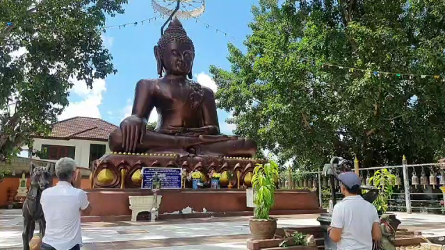 ฮือฮาต้นโพธิ์ออกปลายนิ้วพระพุทธรูปสิงห์หนึ่ง