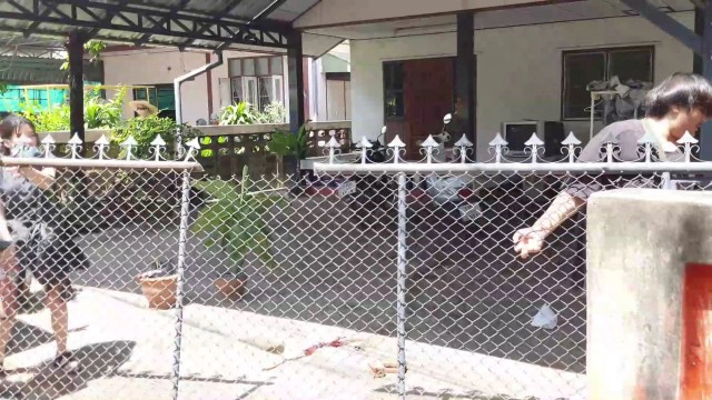 ประตูรั้วเหล็กล้มทับป้าหัวลูกศรประตูเสียบขา