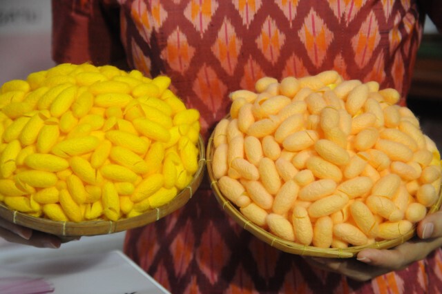 ม.มหาสารคามเปิดผลิตภัณฑ์งานวิจัย ครีมกันแดดโปรตีนไหมสีชมพู