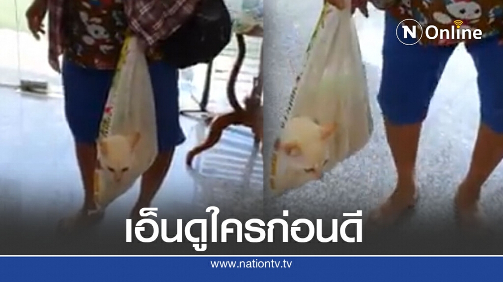 ฮาลั่นทั้งคลินิก คุณป้าหิ้วกระสอบพกแมวมาฉีดยา คิดมาดีงานนี้ไม่มีทรมานสัตว์ ฮาลั่นทั้งคลินิก คุณป้าหิ้วกระสอบพกแมวมาฉีดยา คิดมาดีงานนี้ไม่มีทรมานสัตว์