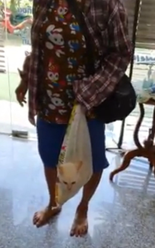 ฮาลั่นทั้งคลินิก คุณป้าหิ้วกระสอบพกแมวมาฉีดยา คิดมาดีงานนี้ไม่มีทรมานสัตว์