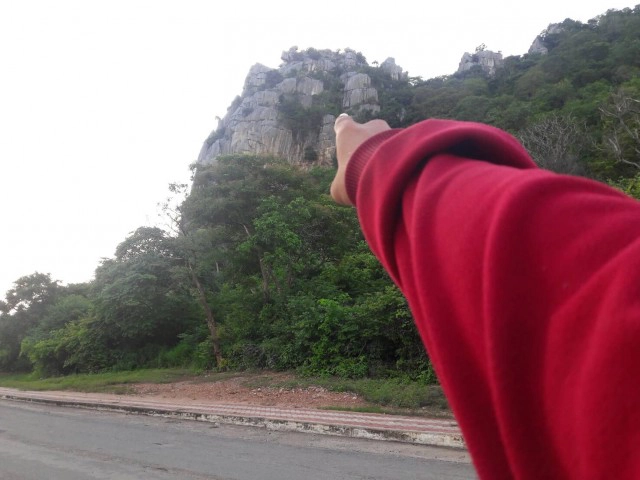 พญาวานรมีจริง อยู่บนยอดเขาหน่อ