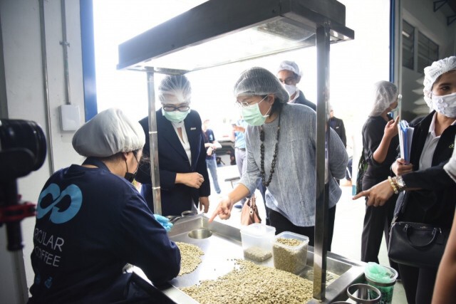 กรมเจรจาฯ ดันกาแฟไทยใช้เอฟทีเอเพิ่มแต้มต่อส่งออก