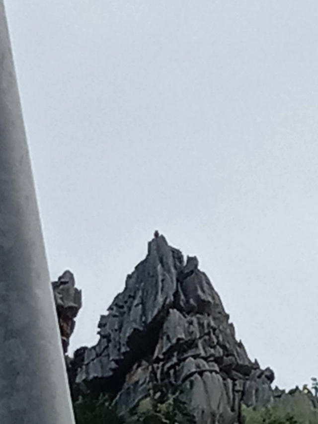 พญาวานรมีจริง อยู่บนยอดเขาหน่อ