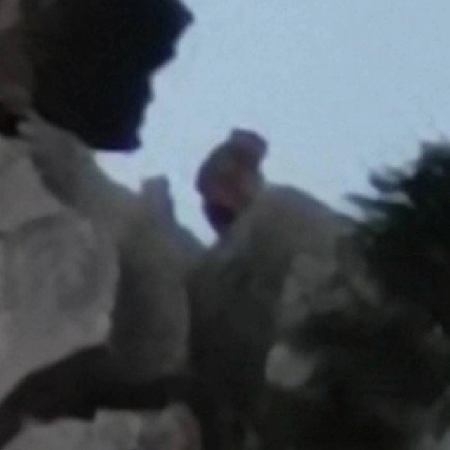 จากรุ่นสู่รุ่น หนุ่มแชร์ประสบการณ์ เรื่องเล่า "ลิงยักษ์เขาหน่อ" จากพ่อ