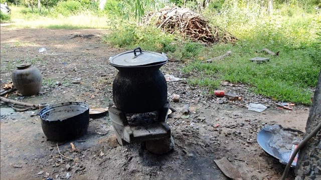 หนุ่มใหญ่ไร้เงินเก็บเห็ดมีพิษกินหามส่ง รพ.