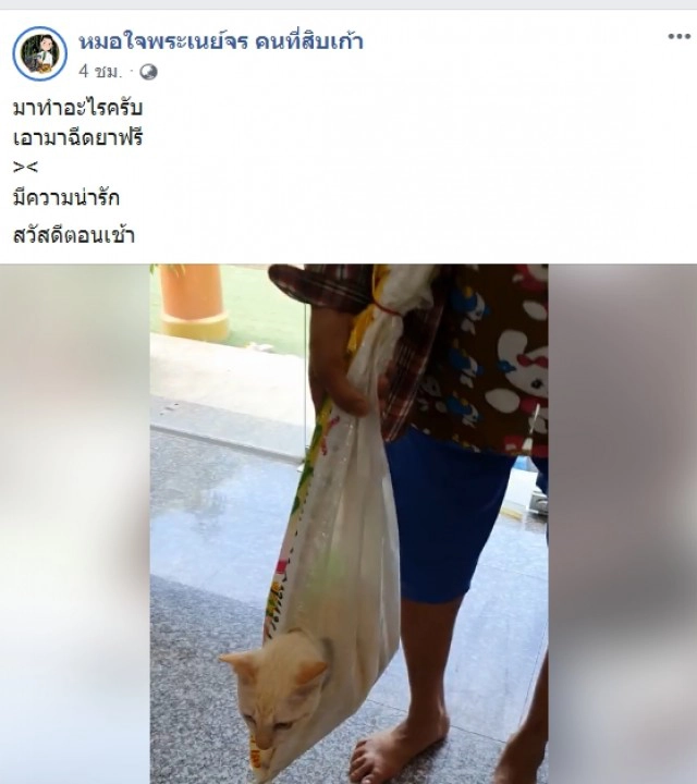 ฮาลั่นทั้งคลินิก คุณป้าหิ้วกระสอบพกแมวมาฉีดยา คิดมาดีงานนี้ไม่มีทรมานสัตว์