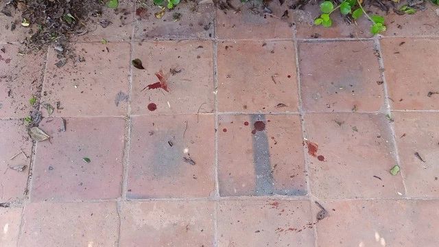 โจรหนีต่อหน้าต่อตา วิ่งชนกระจกแตกเผ่นแลบ