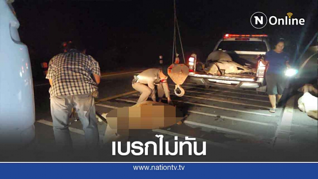 เบรกไม่ทัน! ชนฝูงวัวนับสิบ ตาย2เจ็บ2 เบรกไม่ทัน! ชนฝูงวัวนับสิบ ตาย2เจ็บ2
