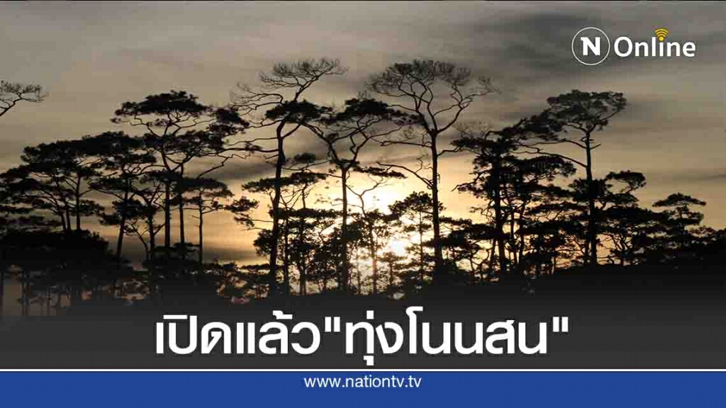 เปิดแล้วเที่ยว "ทุ่งโนนสน"ลุยป่าชมดอกไม้