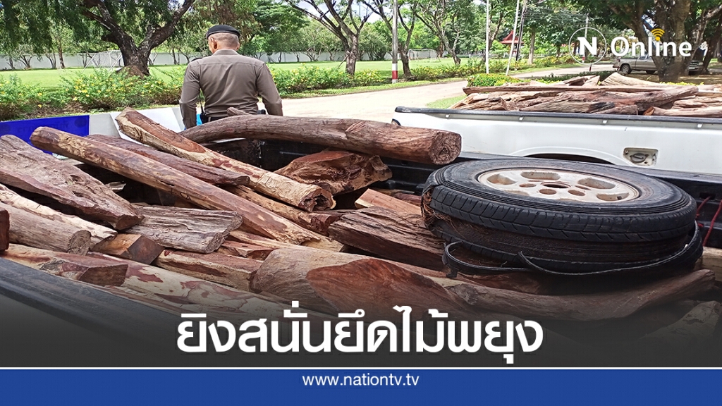 ยิงสนั่นชิงไม้พะยูง201ท่อน จ่อข้ามโขงส่งลาว ยิงสนั่นชิงไม้พะยูง201ท่อน จ่อข้ามโขงส่งลาว