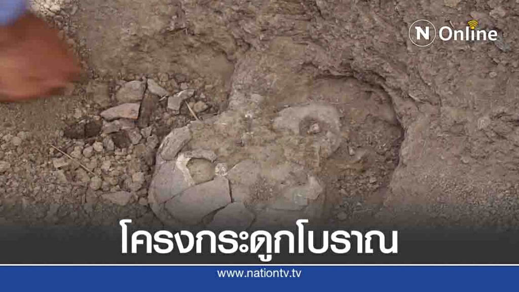 ตะลึง! ปรับที่ดิน-เจอโครงกระดูกโบราณ ตะลึง! ปรับที่ดิน-เจอโครงกระดูกโบราณ