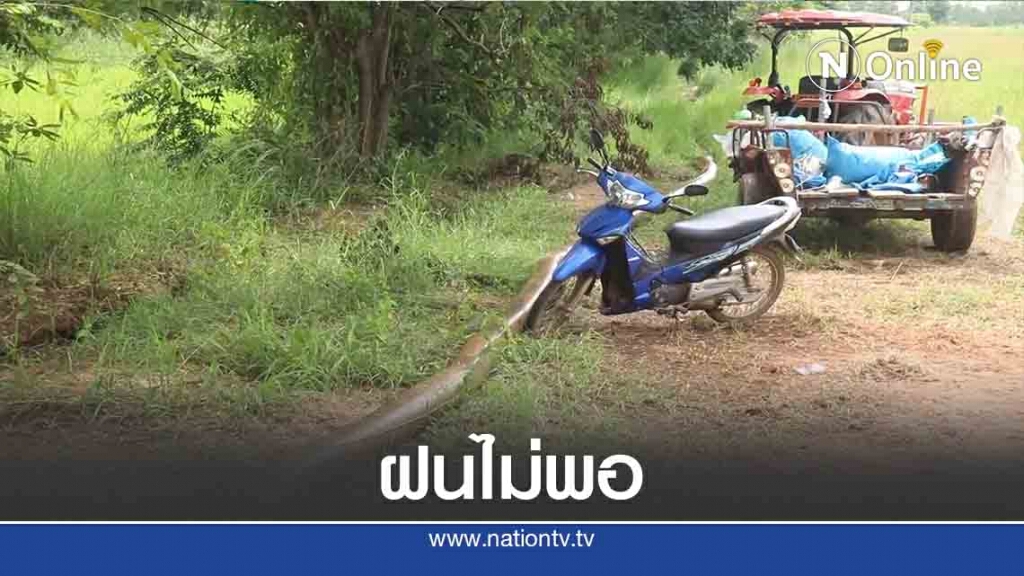 ฝนตกไม่พอ-ชาวนาลงทุนสูบน้ำเข้านาไกลกว่า200 เมตร ฝนตกไม่พอ-ชาวนาลงทุนสูบน้ำเข้านาไกลกว่า200 เมตร