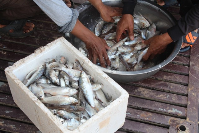 ชาวบ้านแห่จับปลาเขื่อนลำแชะสร้างรายได้เสริม