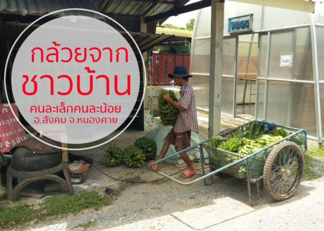 พาณิชย์ขึ้นทะเบียน"กล้วยตากสังคม-ทุเรียนชะนีเกาะช้าง"เป็น GI