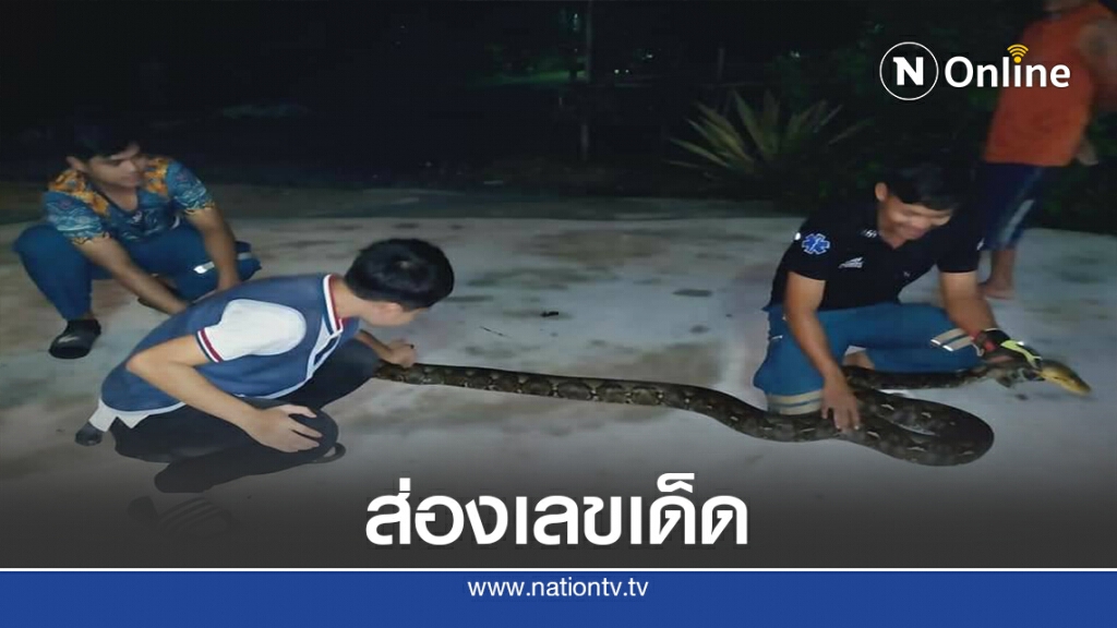 ส่องเลขเด็ดงูเหลือมยาว4 เมตร รอลุ้นโชคพรุ่งนี้ ส่องเลขเด็ดงูเหลือมยาว4 เมตร รอลุ้นโชคพรุ่งนี้