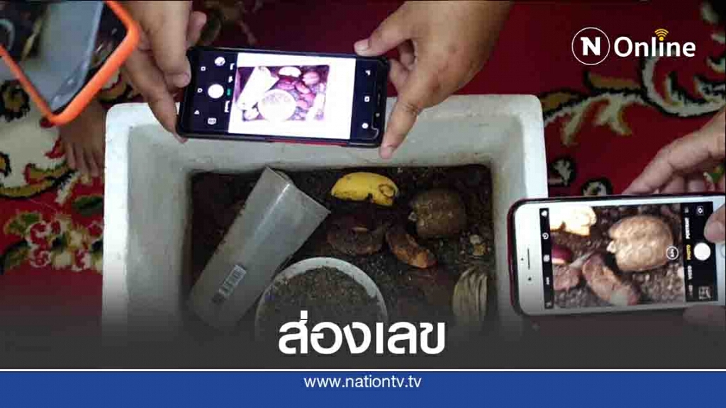 แห่ส่องเลข "เต่าเงิน-เต่าทอง" แห่ส่องเลข "เต่าเงิน-เต่าทอง"
