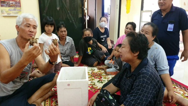 แห่ส่องเลข "เต่าเงิน-เต่าทอง"