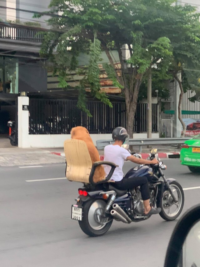 แชร์ว่อนโซเชียล ไบค์เกอร์มีอะไรซ้อนมาด้านหลังทำตกใจทั้งถนน ที่แท้โอละพ่อ