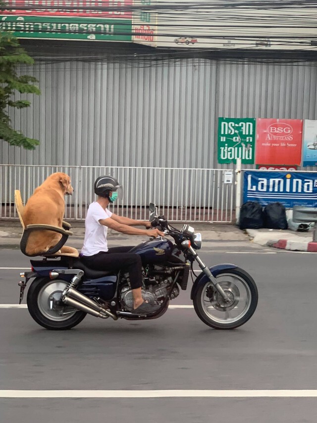 แชร์ว่อนโซเชียล ไบค์เกอร์มีอะไรซ้อนมาด้านหลังทำตกใจทั้งถนน ที่แท้โอละพ่อ