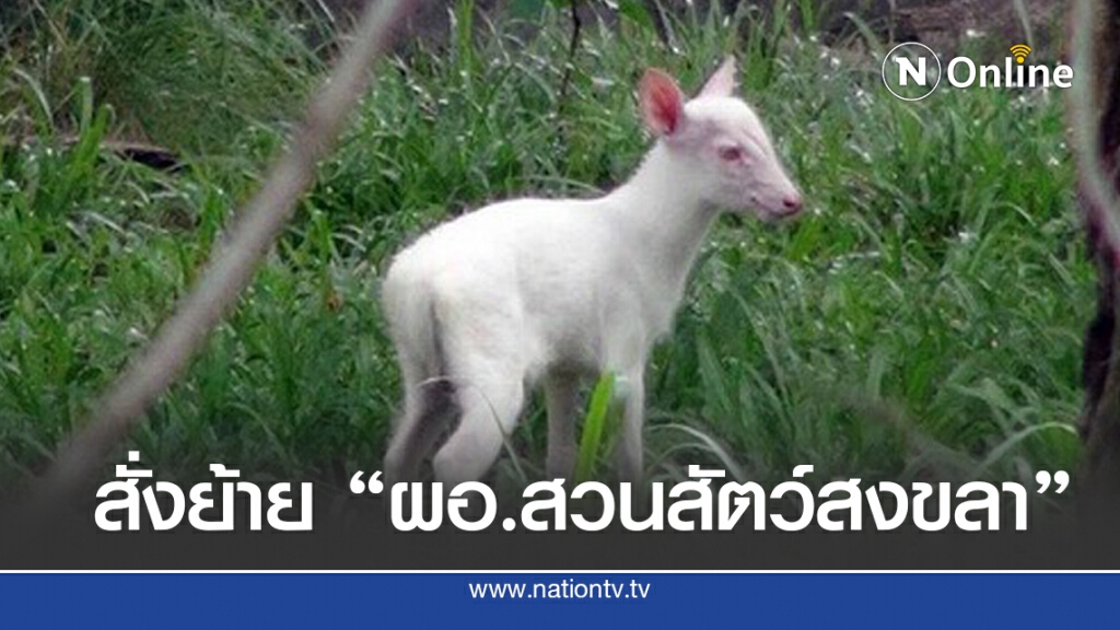 ด่วน!! สั่งย้าย "ผอ.สวนสัตว์สงขลา" แล้ว