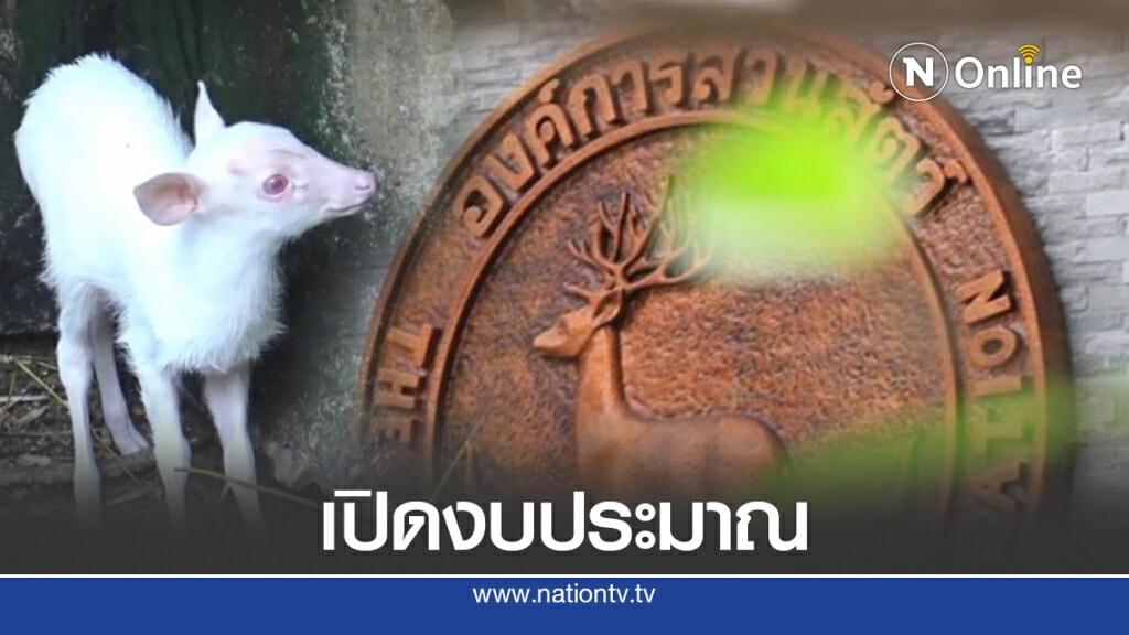 เจาะงบองค์การสวนสัตว์ กับภารกิจเกี่ยวพันธุ์สัตว์หายาก