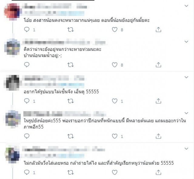 เปิดคลิปนาทีชีวิต ฝูงหนูปีนขึ้นต้นไม้ ฮึบ หนีน้ำท่วม กลัวจนตัวสั่น