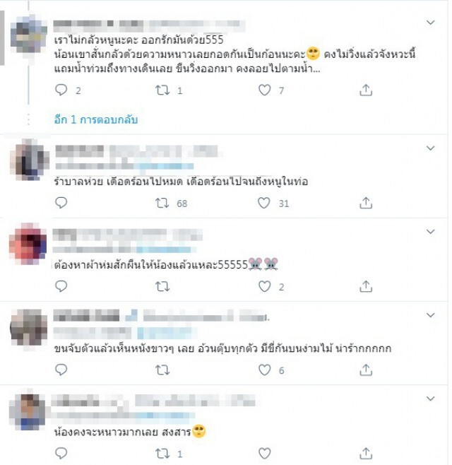 เปิดคลิปนาทีชีวิต ฝูงหนูปีนขึ้นต้นไม้ ฮึบ หนีน้ำท่วม กลัวจนตัวสั่น