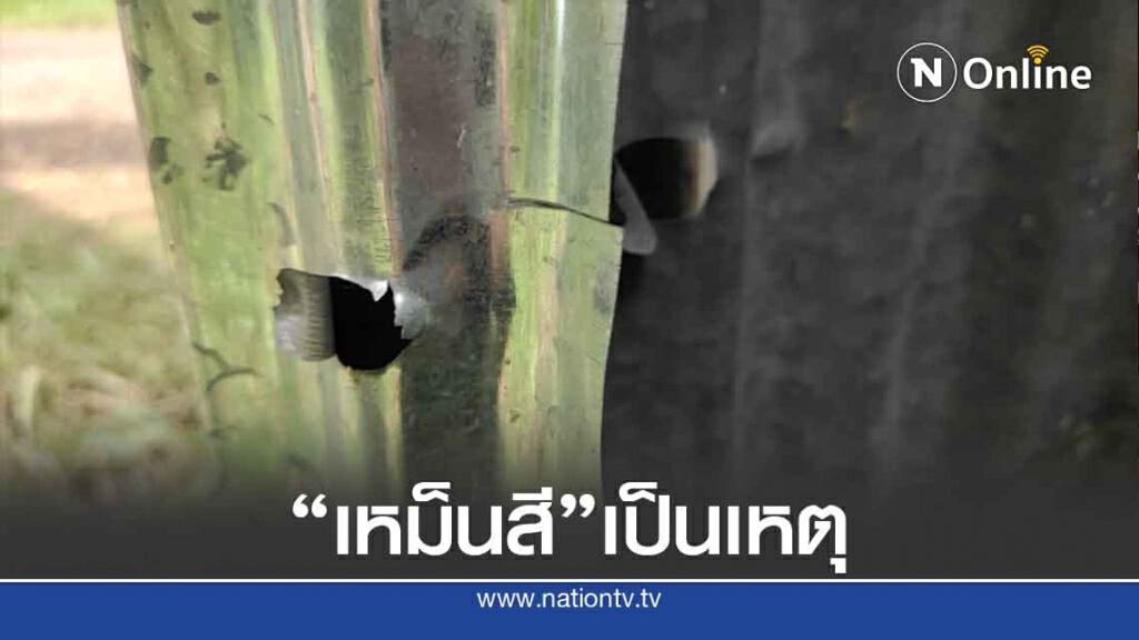 "เหม็นสี"เป็นเหตุ-ยิงเจ้าของรง.เฟอร์นิเจอร์บาดเจ็บ